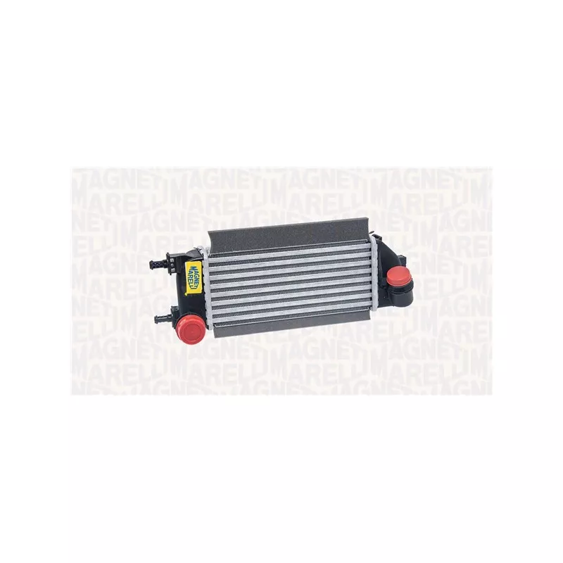 Intercooler, échangeur MAGNETI MARELLI 351319205680