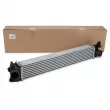 Intercooler, échangeur OE 1613994080 - Visuel 1