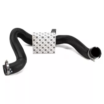 Durite de turbo OE 9806720880