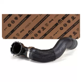 Durite de radiateur OE 1395684080