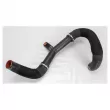 Durite de turbo OE 1389890080 - Visuel 3
