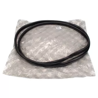 Joint de porte OE 6000625365