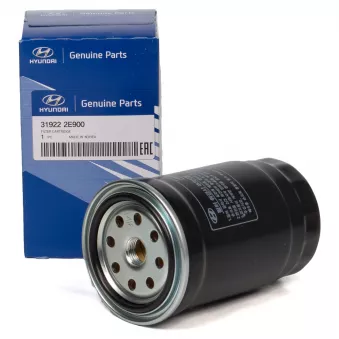 Filtre à carburant OE 319224H001