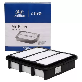 Filtre à air OE 281132H000