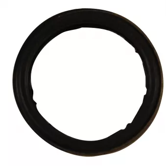 Bague d'étanchéité, porte-injecteur OE