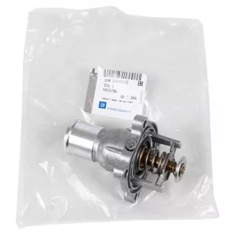 THERMOSTAT OE 24435102