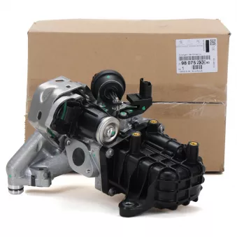 Vanne EGR OE 9807593080