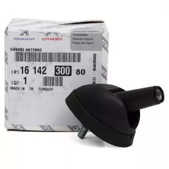 Antenne De Voiture OE 1612186380