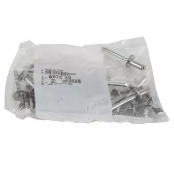 Clip, enjoliveur OE 697046