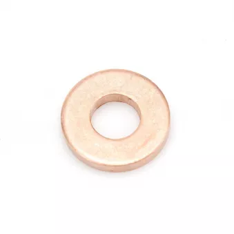 Bague d'étanchéité, porte-injecteur OE