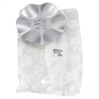 Capuchon de jante OE 541683