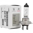 Ampoule, projecteur principal OE 621697 - Visuel 1
