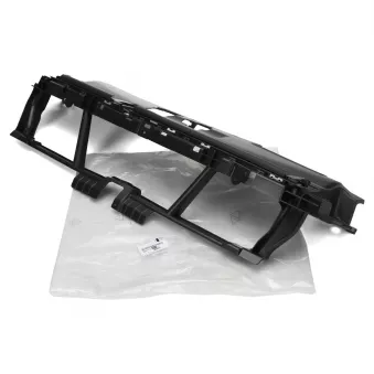 Grille de radiateur OE 9817230780