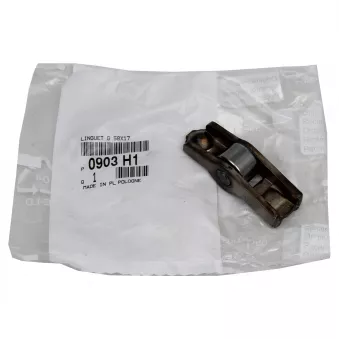 Culbuteur, distribution OE
