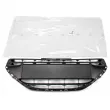 Grille de radiateur OE 9808676480 - Visuel 1