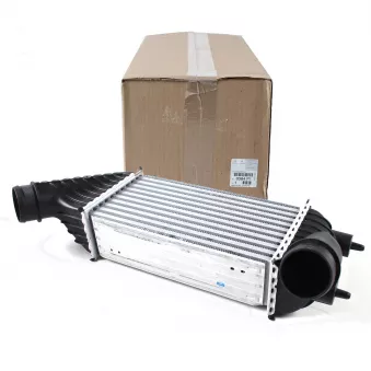 Intercooler, échangeur OE 0384P1