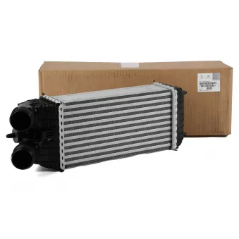 Intercooler, échangeur OE 9803900780