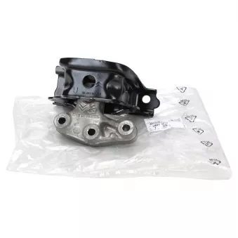 Support, suspension du moteur OE 1807GW
