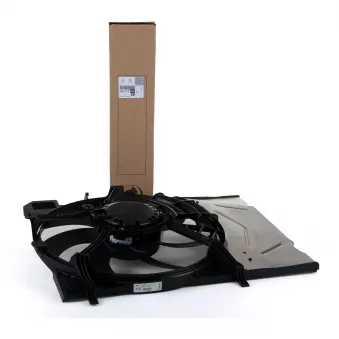 Ventilateur, refroidissement du moteur OE 9801666680