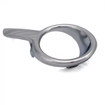 Cadre, phares antibrouillard OE 1608111480
