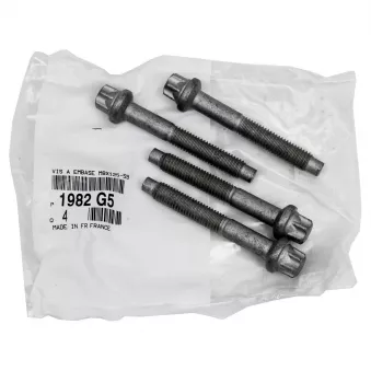Vis, support pour controleur d'injecteurs OE 1982G5