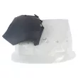 Pare-chocs OE 1610116480 - Visuel 1