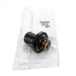 Thermostat d'eau OE 1336Q1 - Visuel 1