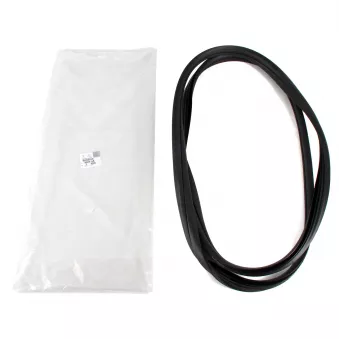 Joint de porte avant gauche ou droit OE 9025AK