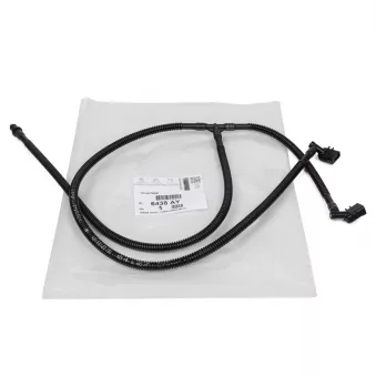 Gicleur de pare brise OE