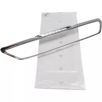 Grille De Par Chocs,Calandre OE 1610763880