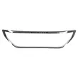 Cadre, calandre OE 98153725VD - Visuel 2