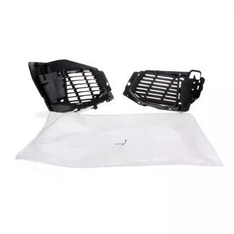 Grille de radiateur OE 1617975680