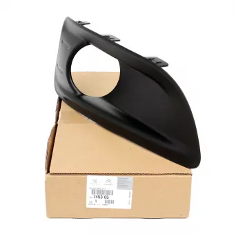 Cadre, phares antibrouillard OE 745365