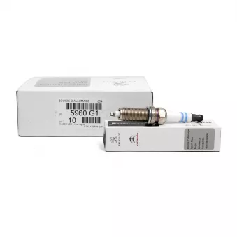 Bougie d'allumage OE 5960G1