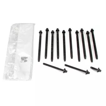 Jeu de boulons de culasse de cylindre OE 0204C1