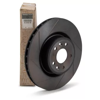 Jeu de 2 disques de frein avant OE 402060019R