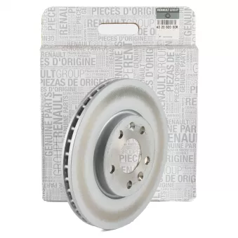Jeu de 2 disques de frein avant OE 402062000R