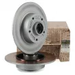 Jeu de 2 disques de frein arrière OE 432000166R - Visuel 1