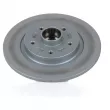 Jeu de 2 disques de frein arrière OE 432025057R - Visuel 2