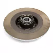 Jeu de 2 disques de frein arrière OE 432029176R - Visuel 3