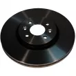Jeu de 2 disques de frein avant OE 8201695231 - Visuel 2