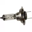 Ampoule, projecteur longue portée OE 7701040849 - Visuel 2