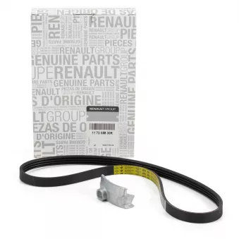 Courroie trapézoïdale à nervures OE 117205930R