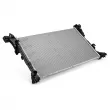 Radiateur, refroidissement du moteur OE 214106419R - Visuel 2