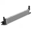 Echangeur de turbo OE 214108831R - Visuel 2