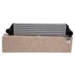 Intercooler, échangeur OE 144960015R - Visuel 1