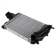 Intercooler, échangeur OE 144963014R - Visuel 2