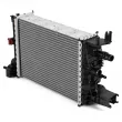 Radiateur, refroidissement du moteur OE 214106421R - Visuel 2