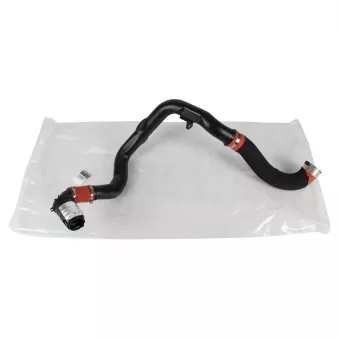 Gaine de suralimentation OE 144601765R