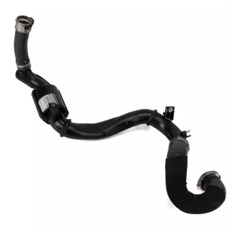 Gaine de suralimentation OE 144602126R